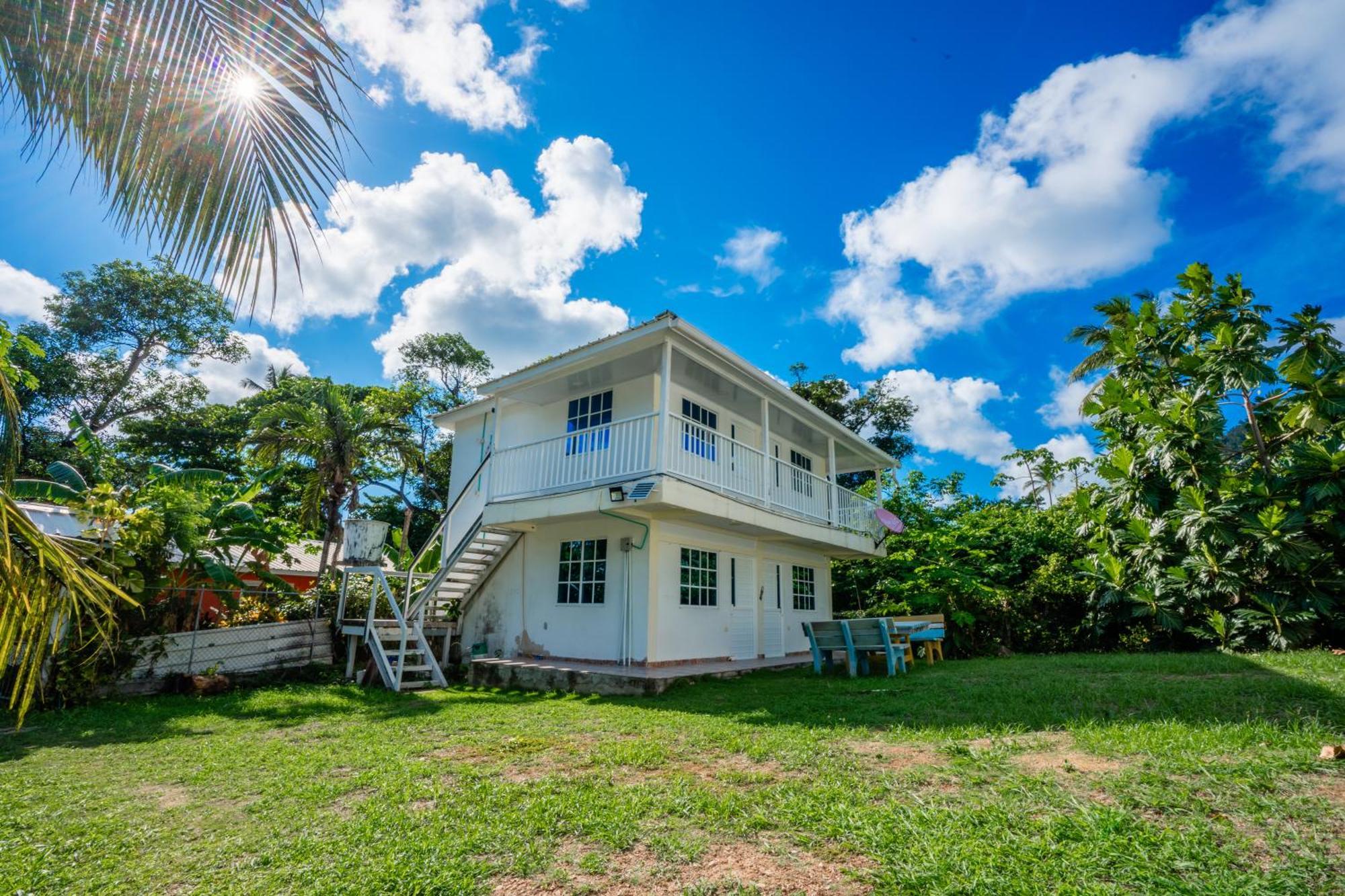 Posada Mango Tree Bahia Suroeste ภายนอก รูปภาพ