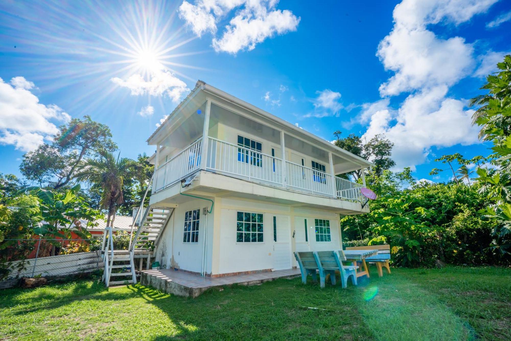 Posada Mango Tree Bahia Suroeste ภายนอก รูปภาพ