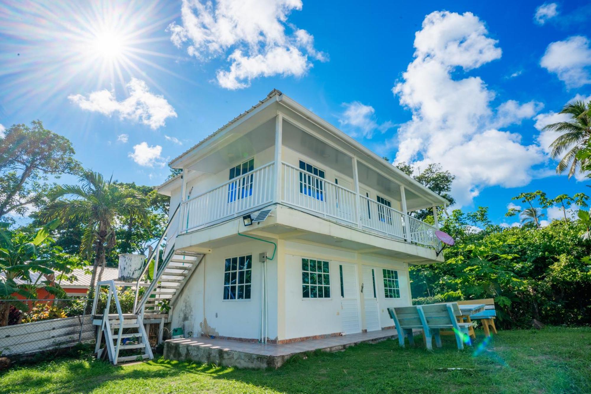 Posada Mango Tree Bahia Suroeste ภายนอก รูปภาพ