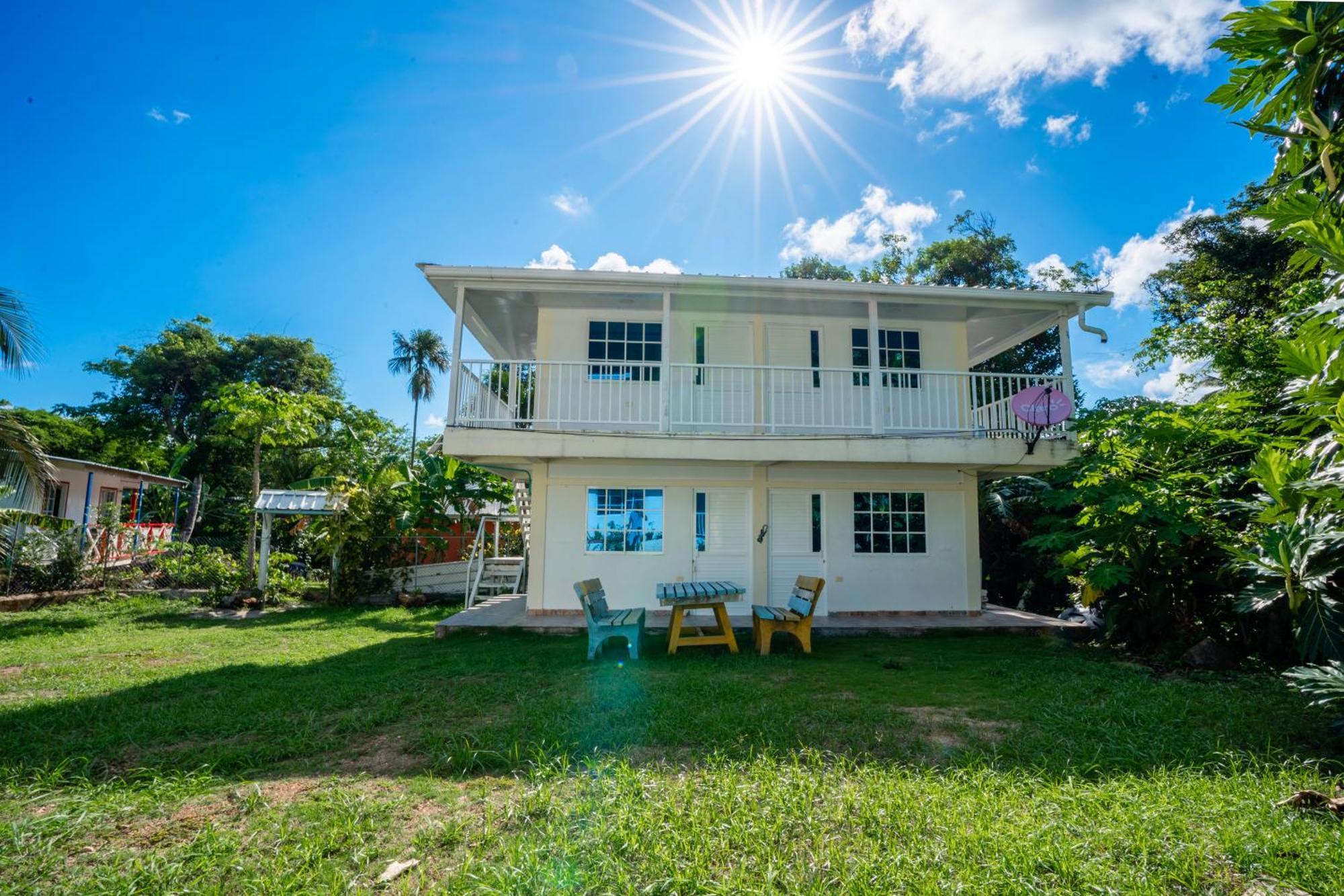 Posada Mango Tree Bahia Suroeste ภายนอก รูปภาพ