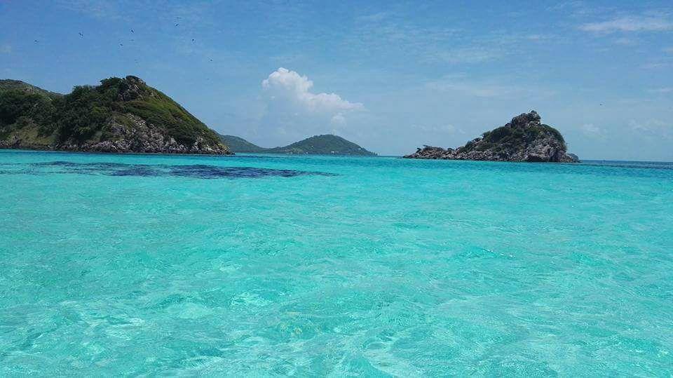 Posada Mango Tree Bahia Suroeste ภายนอก รูปภาพ