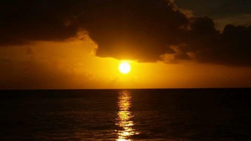 Posada Mango Tree Bahia Suroeste ภายนอก รูปภาพ