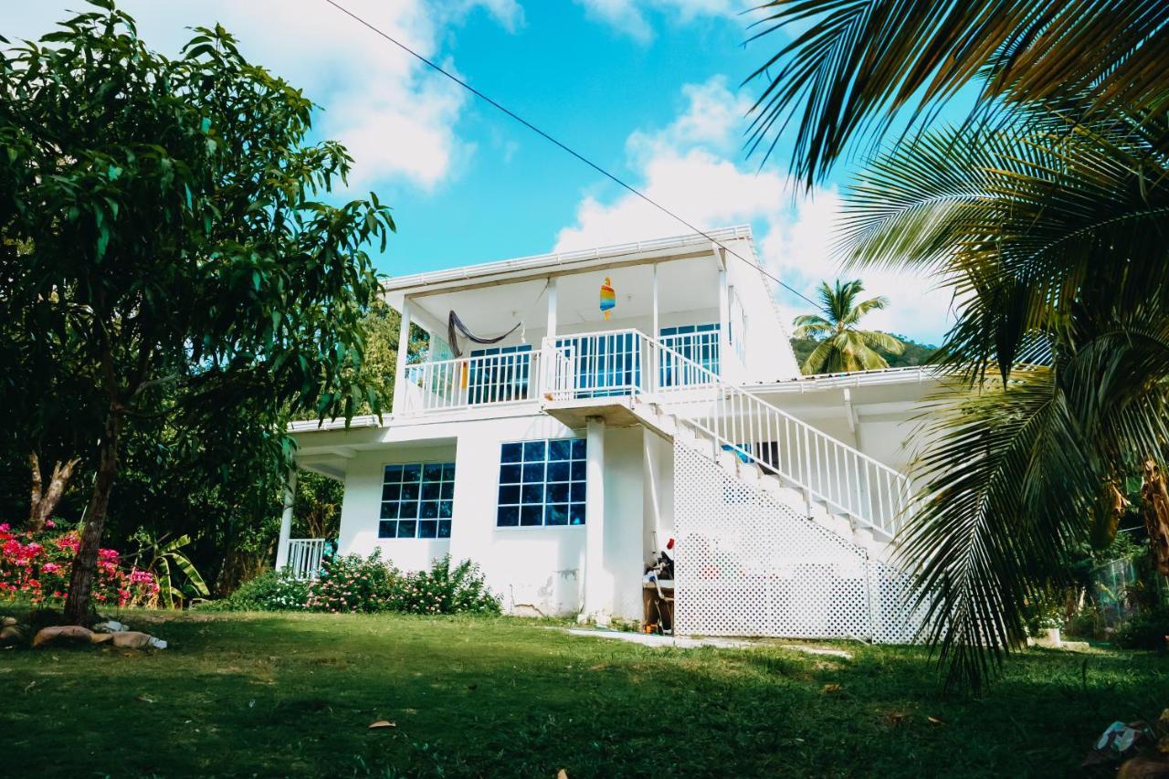 Posada Mango Tree Bahia Suroeste ภายนอก รูปภาพ